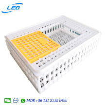 large size plastic transport crate for birds small poultries quail